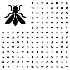 Fly icon illustration. animals icon set for web and mobile.