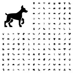 Poster - Dog icon illustration. animals icon set for web and mobile.