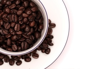 Coffee beans in a white cup