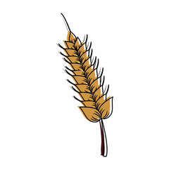 Poster - Harvest of wheat symbol icon vector illustration graphic design