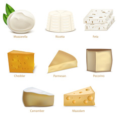 Poster - Realistic Detailed 3d Cheese Different Types Set. Vector