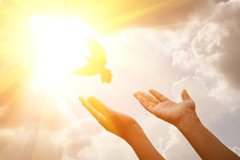 Woman Praying And Free Bird Flying Out Of Two Hand And Freedom ,hope Concept