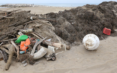 Wall Mural - debris and dry branches with garbage and plastic pieces gathered