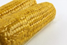 Vacuum Sealed Fresh Corncobs For Sous Vide Cooking Cutout On White