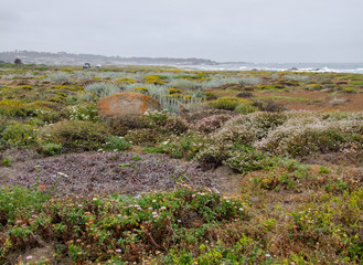 Sticker - idyllic coastal scenery in California