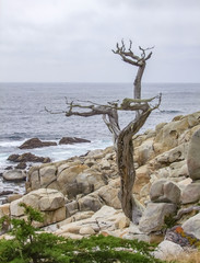 Sticker - idyllic coastal scenery in California