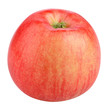 Red apple. Apple isolated on white. With clipping path