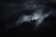 © andreiuc88 - dark landscape, misty mountain with trees at night