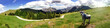 Alpen Panorama mit Kuh auf der Alm
