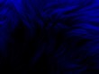 © marcelrubio - hair blue fur