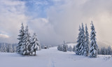 Fototapeta Na ścianę - Fantastic winter landscape with snowy trees. Carpathian mountains, Ukraine, Europe. Christmas holiday concept