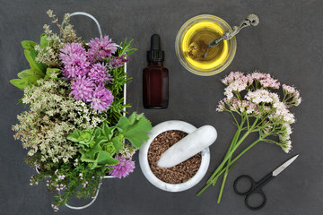 Wall Mural - Herbal medicine used in natural alternative remedies with fresh herbs and flowers with valerian, Valium substitute, in a marble mortar with pestle, aromatherapy essential oil bottle and scissors.