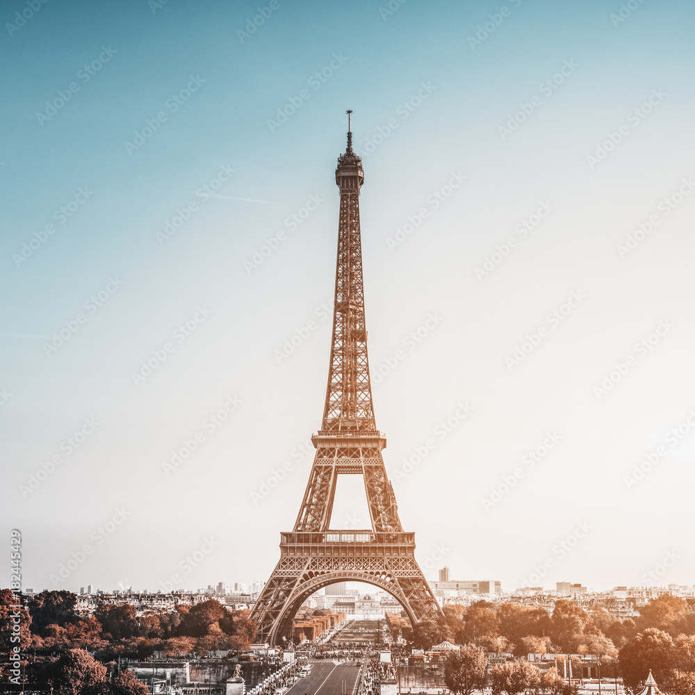 Tour Eiffel (Eiffel Tower) in Paris, France - obrazy, fototapety, plakaty 