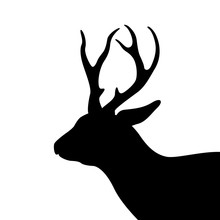 Deer Vector Illustration Black Silhouette Profile