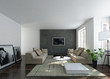 © XtravaganT - Contemporary interior of a bright home living room