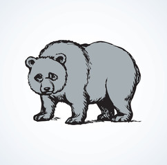 Sticker - Panda. Vector drawing