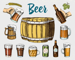 Wall Mural - Beer glass, mug or bottle, wooden barrels. engraved in ink hand drawn in old sketch and vintage style for web, invitation to party or pub menu. design element isolated on white background.