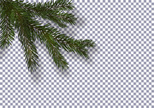 Christmas, New Year. Realistic Green Tree Branch And Its Shadow. Against The Background Of The Checkered. Illustration