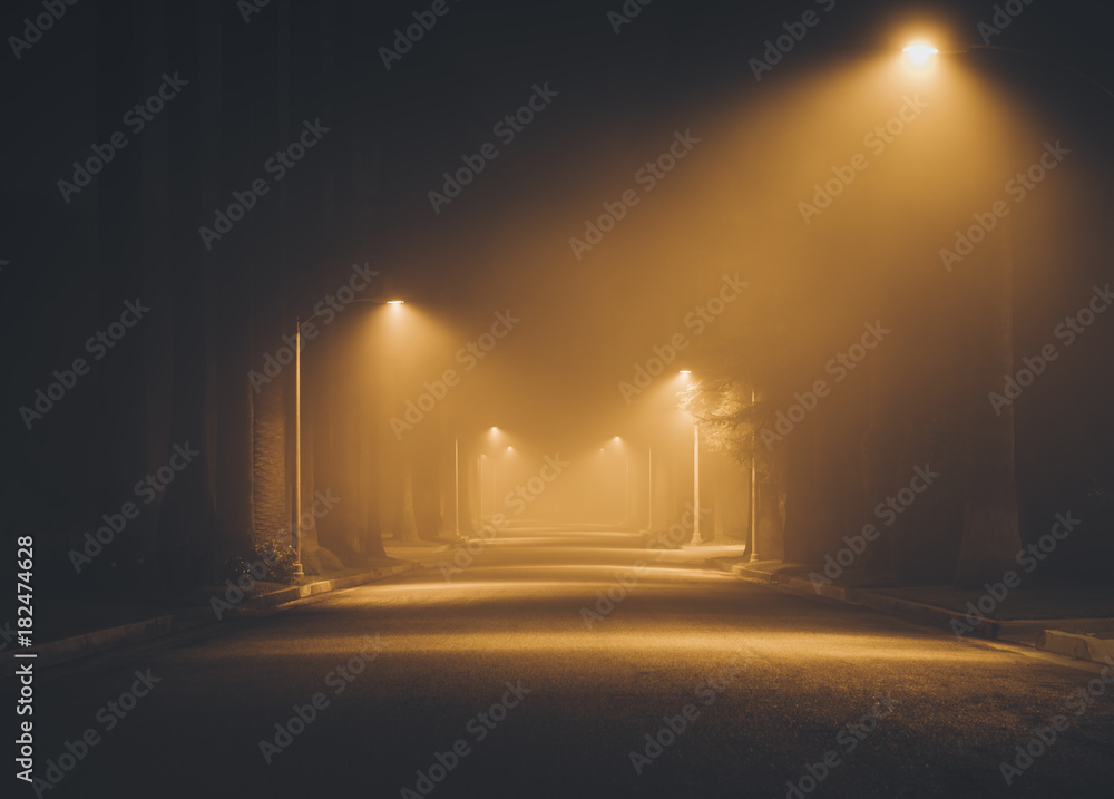 Night street in the fog.  Los Angeles. California. America. Novem 2017
 - obrazy, fototapety, plakaty 