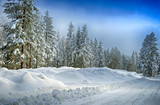 Fototapeta Na ścianę - winter landscape