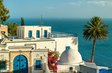 Poster - Traditional houses in Sidi Bou Said, Tunisia