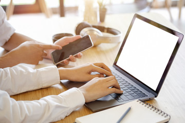 Wall Mural - two business people with laptop and smartphone meeting in modern office.