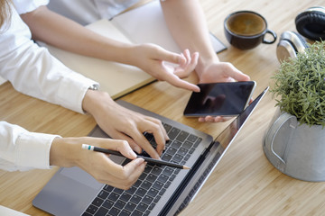 Wall Mural - two business people with laptop and smartphone meeting in modern office.