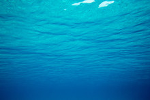 Underwater Blue Ocean Background In Sea