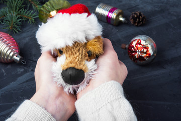 holiday symbolic Christmas dog