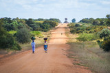 Fototapeta  - The road to Mapai, Mozambique