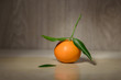 © OlegK - mandarins on the table