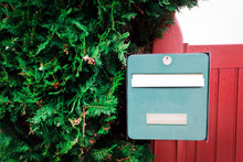 Green Vintage Mailbox On A Red Wooden Fence With Fluffy Thuya