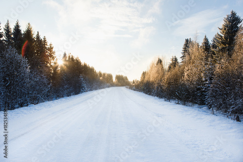 Plakat Zimowa droga przez las pokryte śniegiem