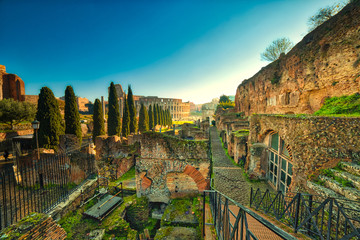 Wall Mural - Rome skyline panorama