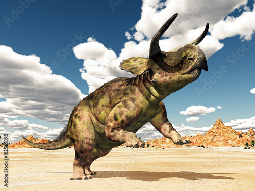 Dekoracja na wymiar  dinozaur-nasutoceratops