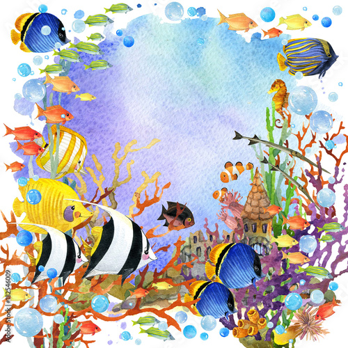 Obraz w ramie Podwodne życie - akwarela