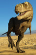 tyrannosaurus rex in the desert walking along
