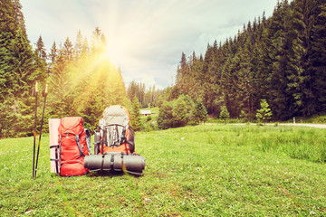 Wall Mural - Traveling in the mountains, in the wild.