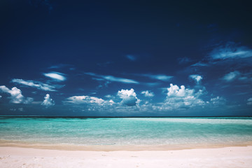 Wall Mural - Sandy beach, clear see-through sea and blue sky. Maldives