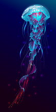Vector Illustration Of Fantasy Glowing Jellyfish In The Ocean