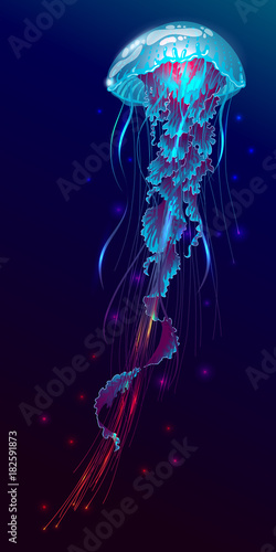 Photographie Vector illustration of fantasy glowing jellyfish in the ocean