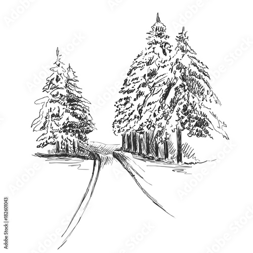 Nature In The Forest Sketch Winter Landscape And Christmas Tree Buy This Stock Vector And Explore Similar Vectors At Adobe Stock Adobe Stock Nature In The Forest Sketch Winter Landscape And Christmas Tree Buy This Stock Vector And Explore Similar Vectors At Adobe Stock Adobe Stock