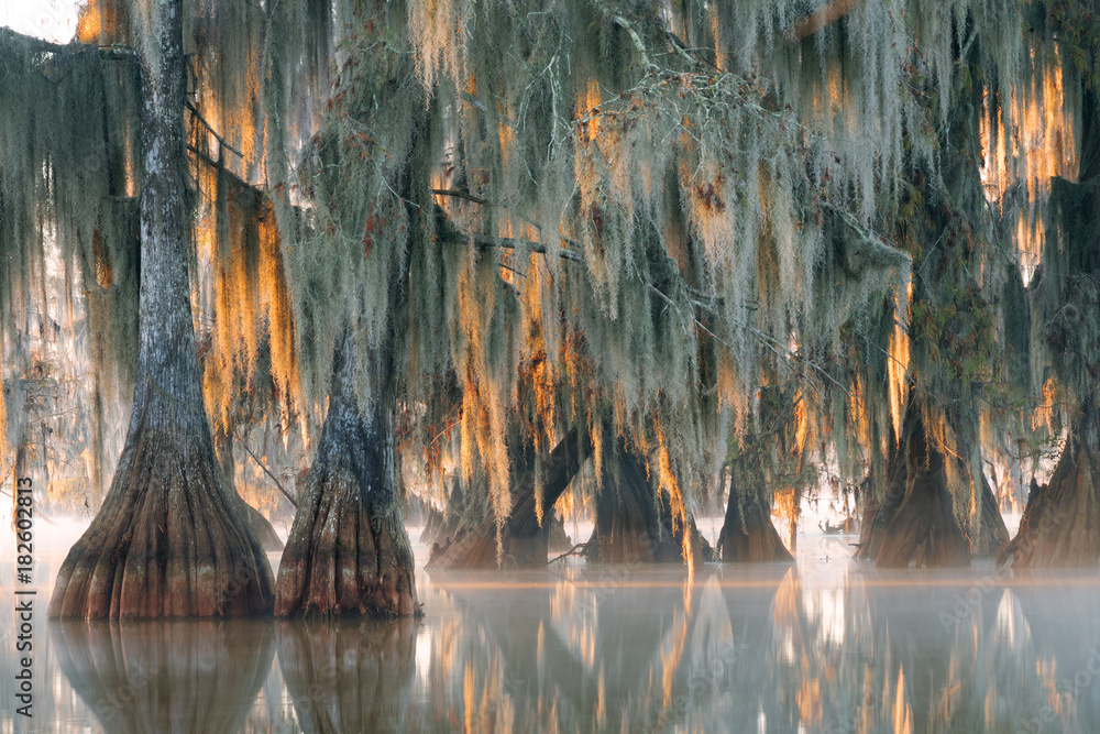 Lake Martin