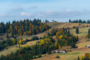 Wall Mural - Autumn in Carpathian Mountains