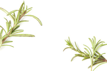  Rosemary isolated on white background, Top view
