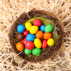 Canvas Print - colorful egg in nest