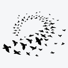 Silhouette of a flock of birds. Black contours of flying birds. Flying pigeons. Tattoo.