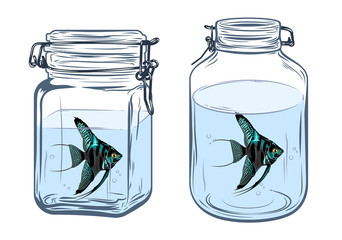 Wall Mural - a fish of a scaly in a glass jar