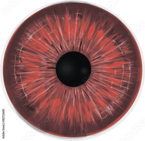Fotografie, Obraz Crimson eye - Vampire eye iris - High detailed vector illustration