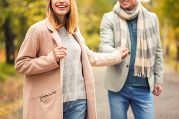 Sticker - Young couple walking in park on autumn day